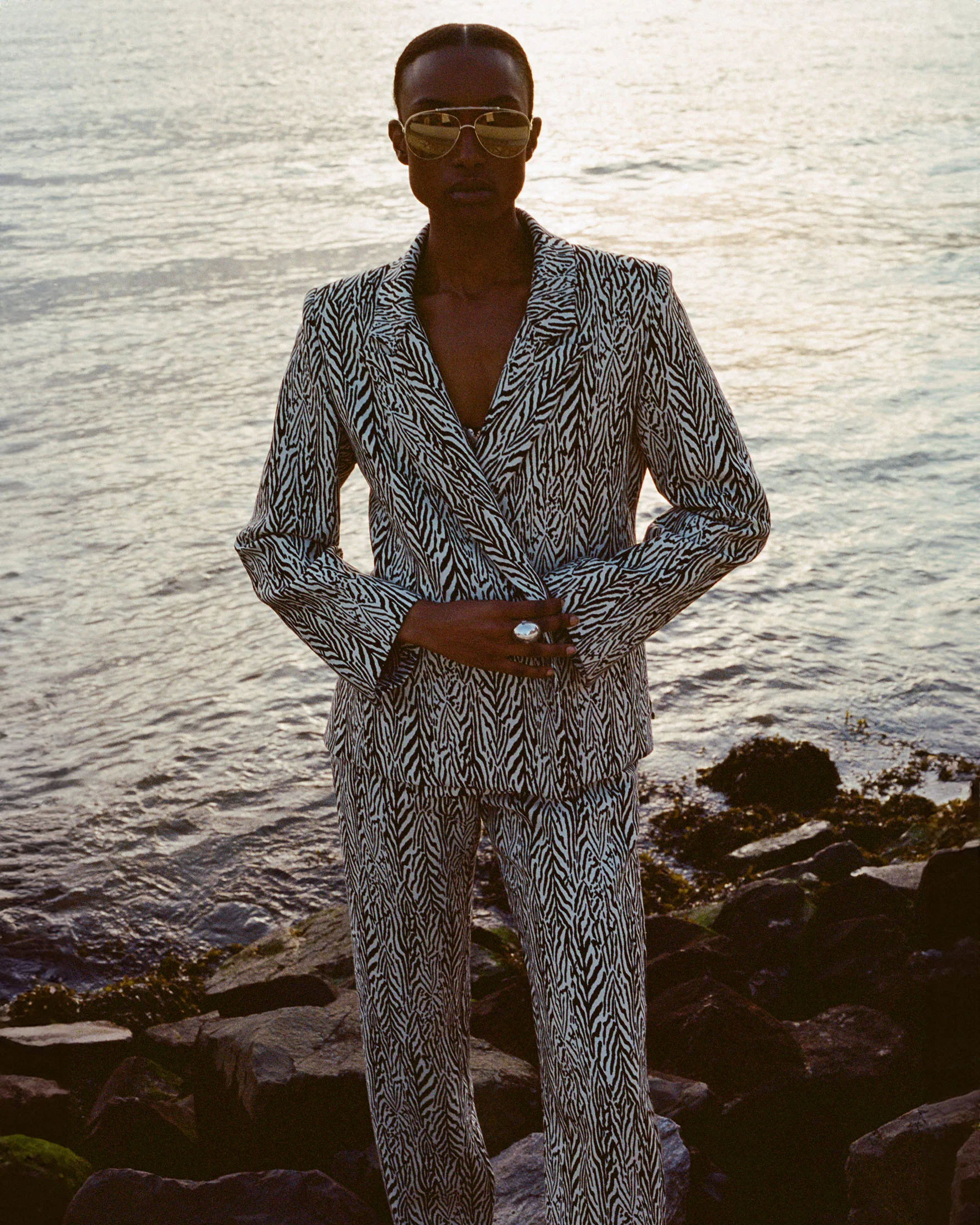 Dree Zebra Blazer - Image 2