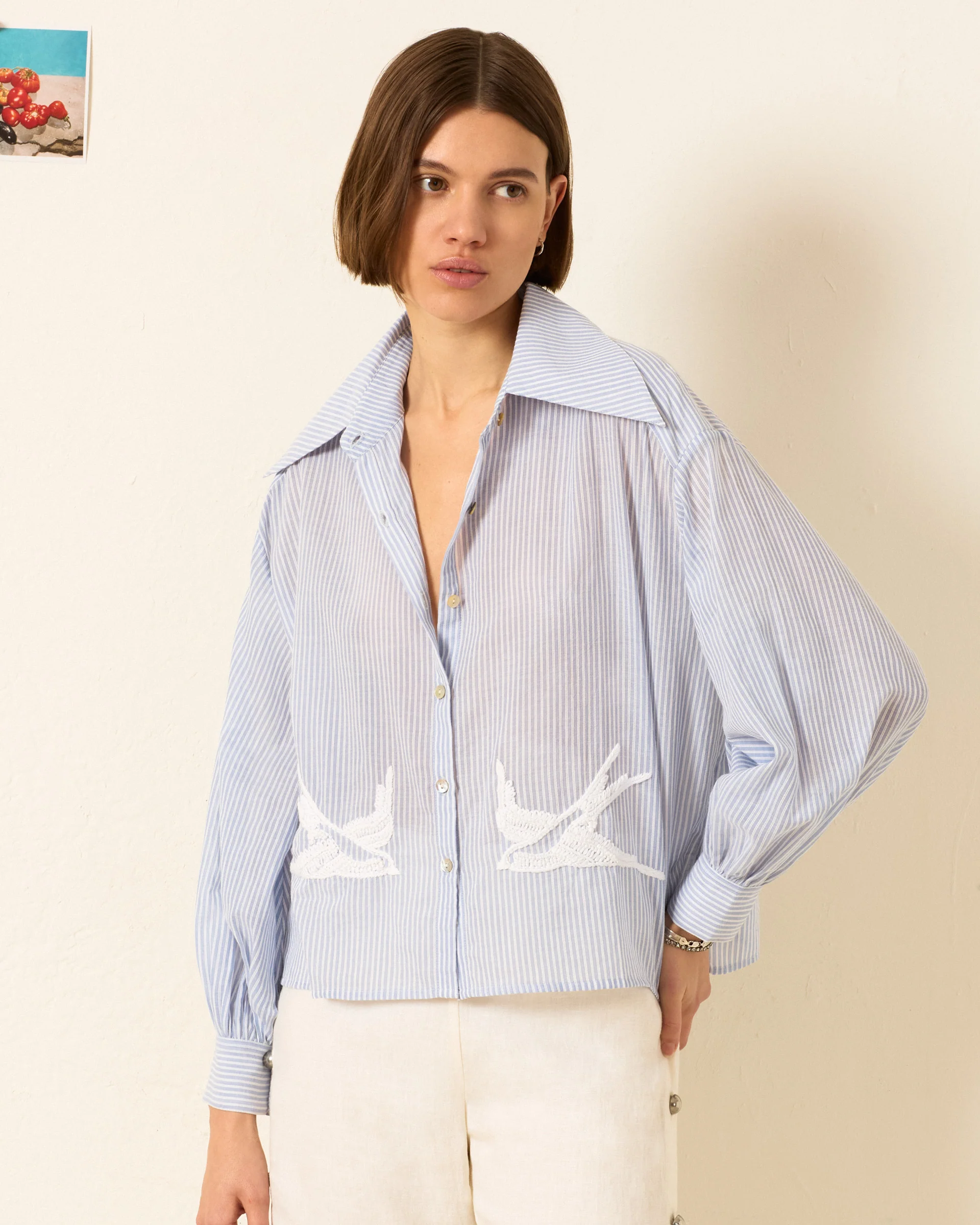 Emery Swallow Stripe Shirt