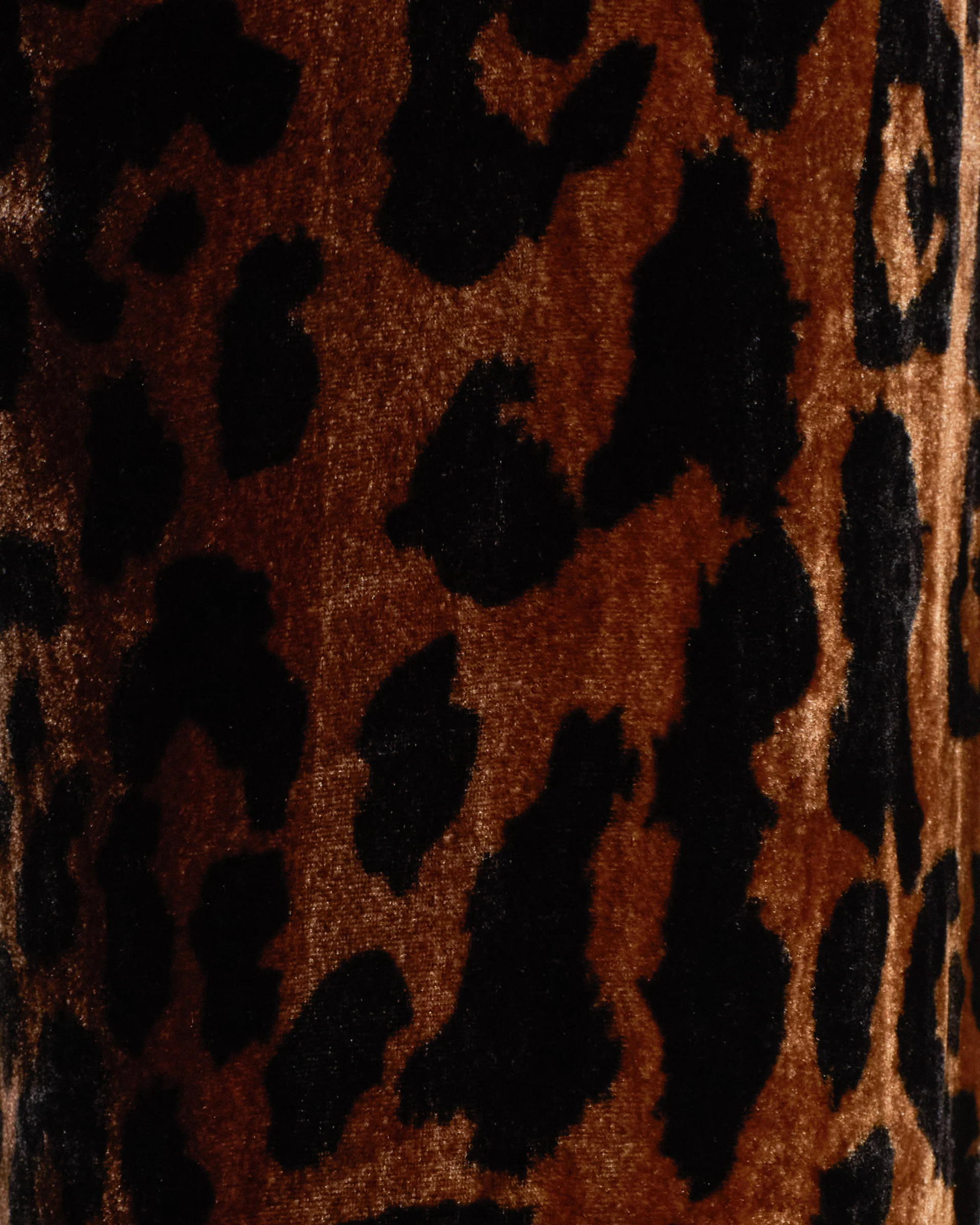 Jasper Leopard Velvet Coat - Image 3